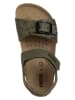 Geox Sandały "Ghita" w kolorze khaki
