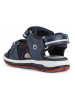 Geox Sandalen "To Do" donkerblauw