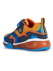Geox Sneakers "Bayonyc" in Blau/ Orange