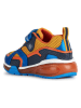 Geox Sneakers "Bayonyc" in Orange/ Bunt
