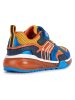 Geox Sneakers "Bayonyc" in Orange/ Bunt