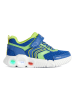 Geox Sneakers "Wroom" blauw/groen