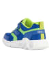 Geox Sneakers "Wroom" in Blau/ Grün