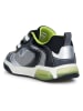 Geox Sneakers "Inek" grijs
