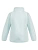 Schmuddelwedda Softshelljacke in Mint