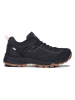 Icepeak Wanderschuhe in Schwarz