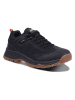Icepeak Wanderschuhe in Schwarz