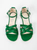 Zapato Leren sandalen groen