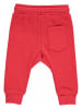 Fred´s World by GREEN COTTON Spodnie dresowe w kolorze czerwonym