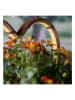 Garden Hero Ledsolarhanglamp lichtbruin - (B)34,1 x (H)16,4 cm