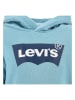 Levi's Kids Hoodie in Blau