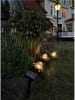 STAR Trading LED-Solar-Gartenstecker in Gold - (B)130 x (H)10 cm