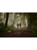 Garmin GPS-Laufuhr "Forerunner 255 Basic" in Anthrazit