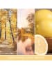 Yankee Candle Świeca zapachowa "Autumn Sunset" - 368 g