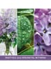 Yankee Candle Świeca zapachowa "Lilac Blossoms" - 368 g