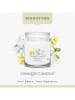 Yankee Candle Świeca zapachowa "Midnight Jasmine" - 368 g