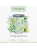 Yankee Candle Duża świeca tumbler "Cucumber Mint Cooler" - 567 g
