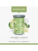 Yankee Candle Duża świeca tumbler "Vanilla Lime" - 567 g
