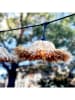 lumisky Ledlichtguirlande "Tahiti" naturel - (L)600 cm