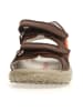Naturino Skórzane sandały "5675" w kolorze brązowym