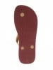 Havaianas Teenslippers bordeaux/beige