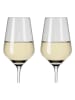RITZENHOFF 2-delige set: wittewijnglazen "Fjordlicht" grijs - 380 ml