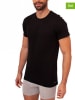 Calvin Klein 3er-Set: Shirts in Schwarz