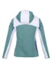 Regatta Fleece vest "Walbury V" turquoise