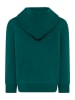 LEGO Hoodie "LEGO Ninjago" groen