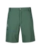 Halti Functionele short "Pallas" groen