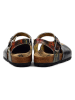 Calceo Enkelsandalen zwart/meerkleurig