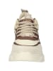 Steve Madden Sneakersy w kolorze beżowo-brązowym