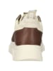 Steve Madden Sneakers in Beige/ Braun