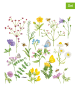 ppd Serwetki (40 szt.) "Cornflowers" ze wzorem