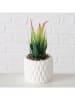 Boltze 3-delige set: kunstplanten groen - (H)15 cm