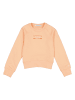 Calvin Klein Sweatshirt oranje