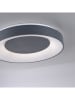 Paul Neuhaus LED-Deckenleuchte "Anika" in Anthrazit - Ø 45 cm