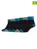 Skechers 6er-Set: Socken in Schwarz