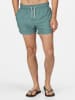 Regatta Zwemshort "Mawson" mintgroen