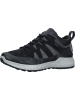 Ara Shoes Leder-Sneakers in Grau
