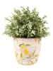 Clayre & Eef Blumentopf in Gelb - (H)14 cm - Ø 14 cm