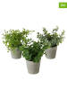 Boltze 3-delige set: kunstplanten "Timothy" groen - (H)18 x Ø 16 cm