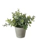 Boltze 3-delige set: kunstplanten "Timothy" groen - (H)18 x Ø 16 cm