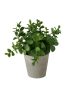 Boltze 3-delige set: kunstplanten "Timothy" groen - (H)18 x Ø 16 cm