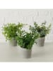 Boltze 3-delige set: kunstplanten "Timothy" groen - (H)18 x Ø 16 cm