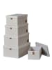 STORE IT 5er-Set: Ordnungsboxen in Creme