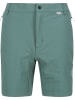 Regatta Funktionsshorts "Mountain" in Mint