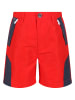 Regatta Funktionsshorts "Sorcer" in Rot