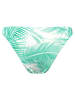 Barts Bikini-Hose "Palmsy" in Türkis