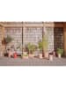 OYOY living design Blumentopf "Awa" in Hellbraun - (B)54 x (H)21 x (T)30 cm